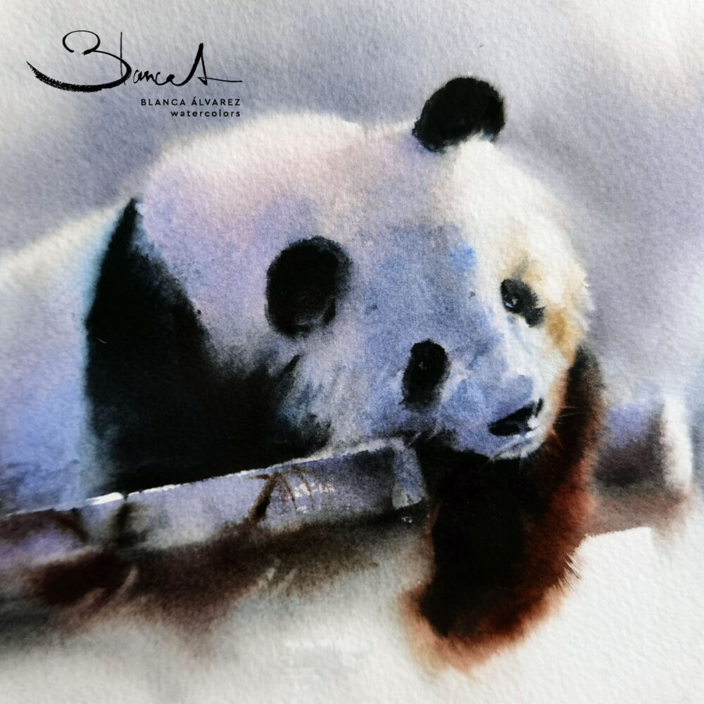 Tutorial de acuarela: Pintando un Oso Panda