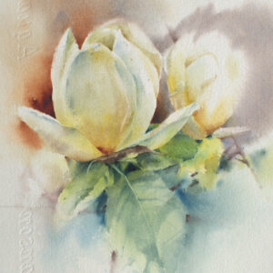 Acuarela: Magnolias