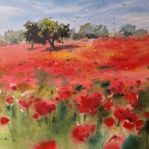 Acuarela: Campo de amapolas