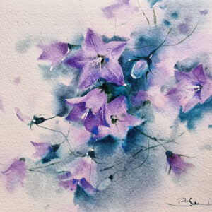 Acuarela: Campanulas