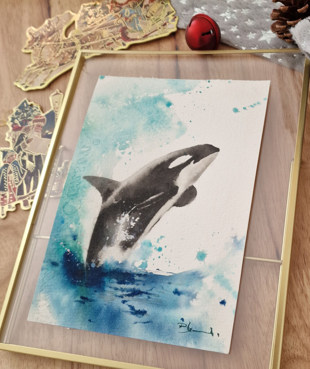Acuarela: Orca