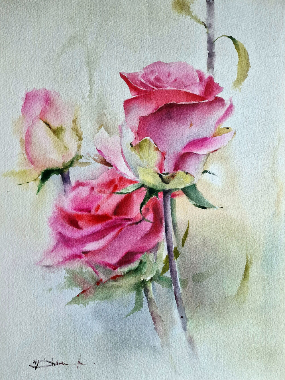 Acuarela Rosas