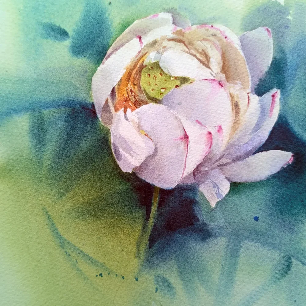 acuarela-flor-de-loto